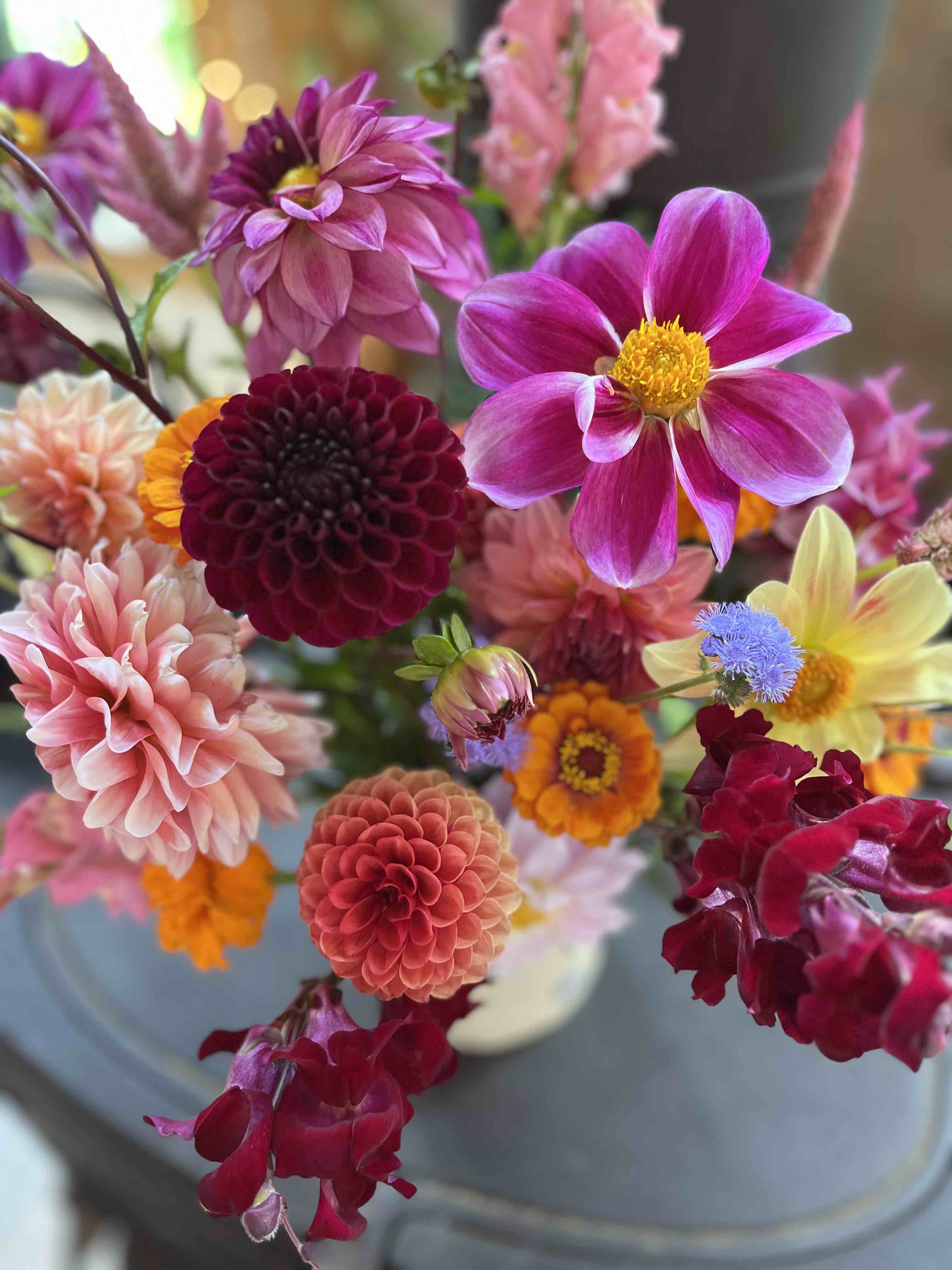 bouquet of pinks, reds and oranges including dahlias, snapdragons and zinnias